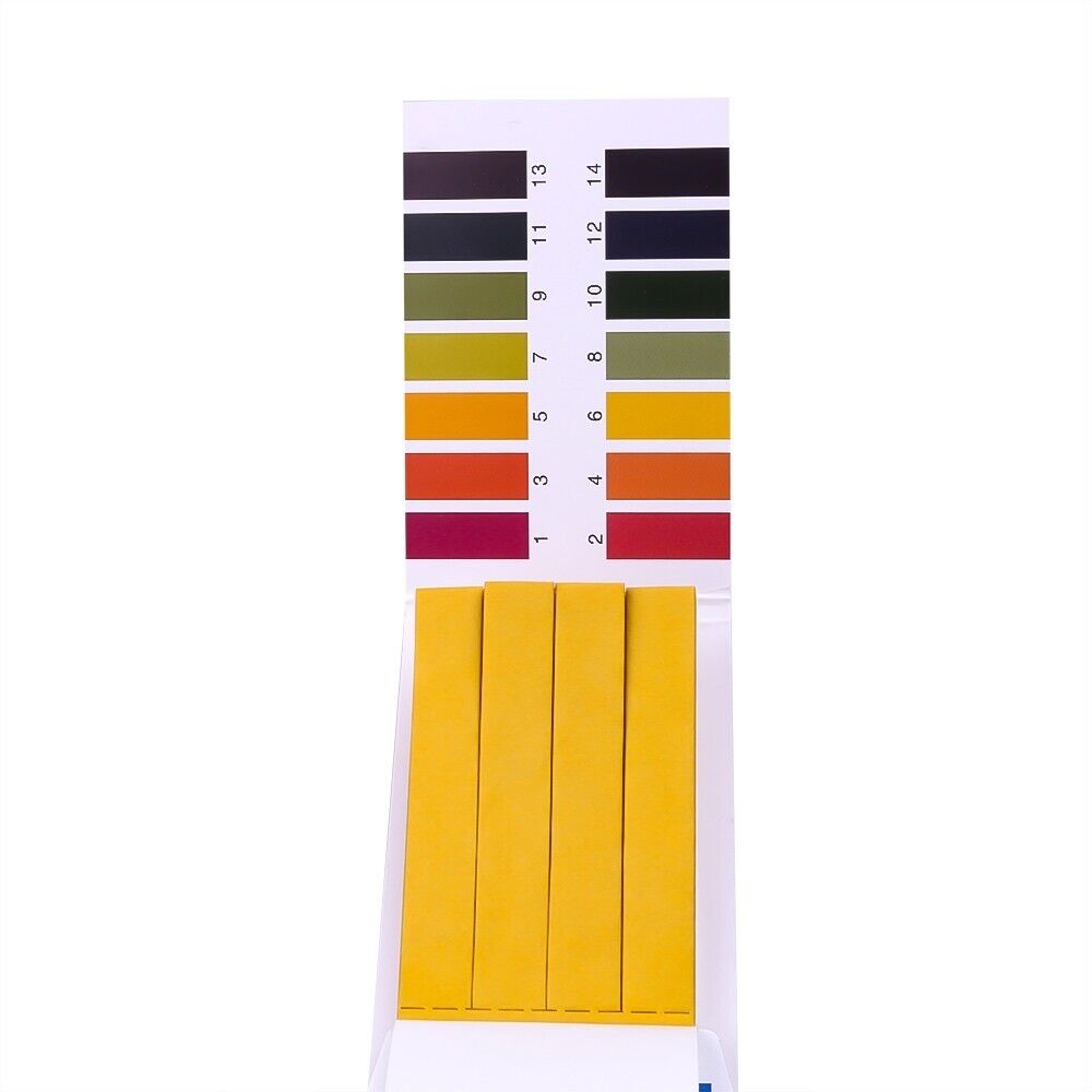 80 Strisce Reattive PH per la  - Soap Making Diy recensione e prezzo